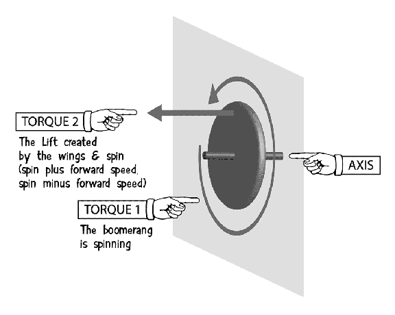 16-boomerang-precession02